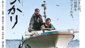 港のひかりのアイキャッチ画像