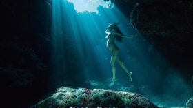 パシフィック・マザーのアイキャッチ画像