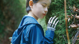 箱の中の羊のアイキャッチ画像