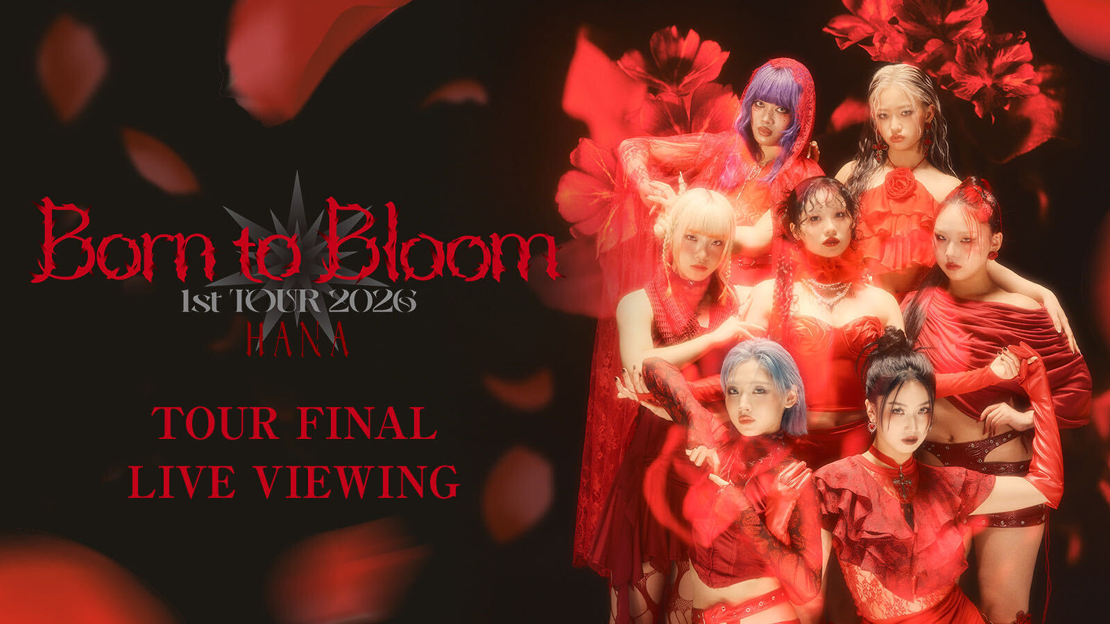 10/31（土）『HANA 1st TOUR 2026 “Born to Bloom”』TOUR FINAL武道館公演ライブビューイング決定！のアイキャッチ画像